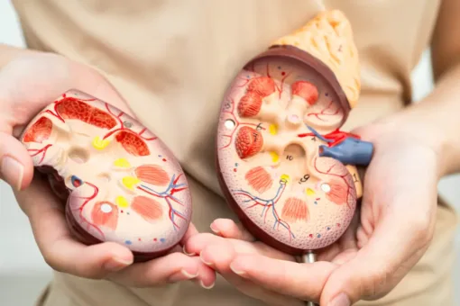 Creatinine test