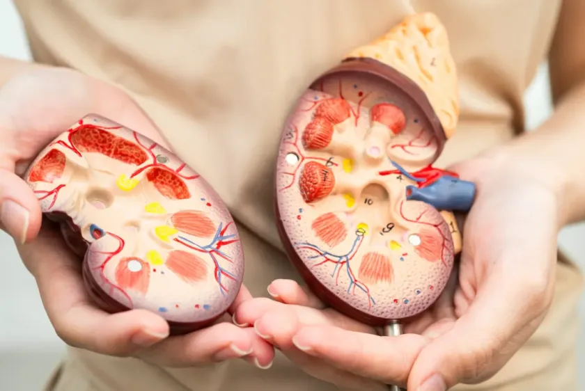 Creatinine test