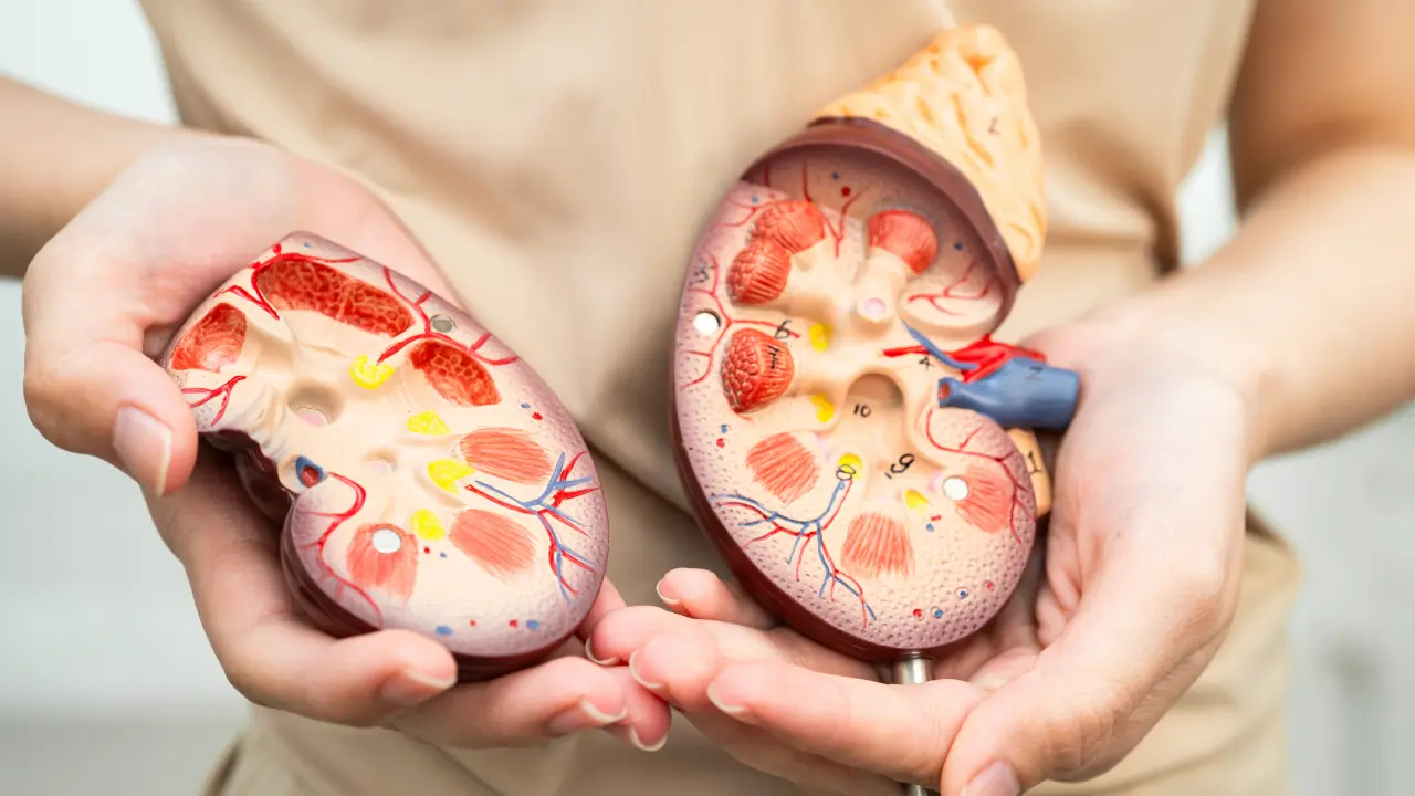 Creatinine test