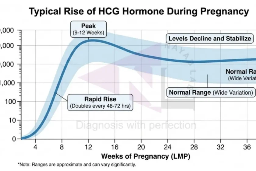 Rising HCG hormone chart