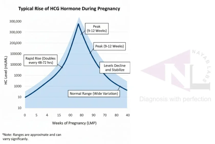 Week-wise HCG level graph