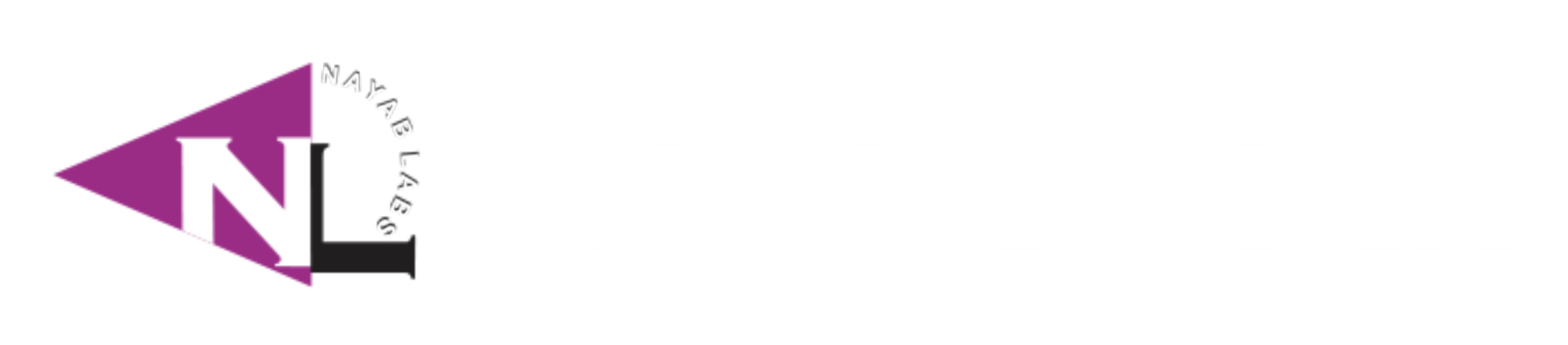 Nayab Labs Logo
