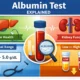 Albumin Test: Purpose, Normal Range, Procedure, and Result Interpretation