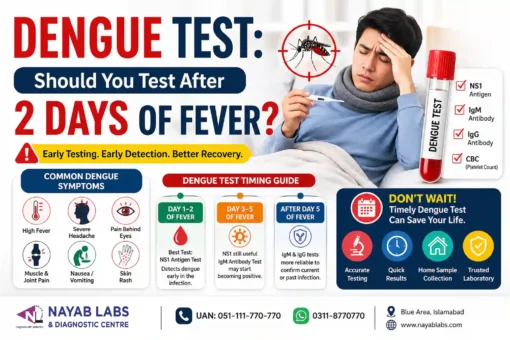 Dengue Test