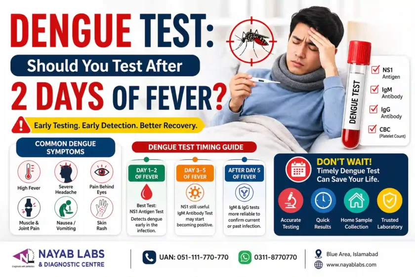 Dengue Test
