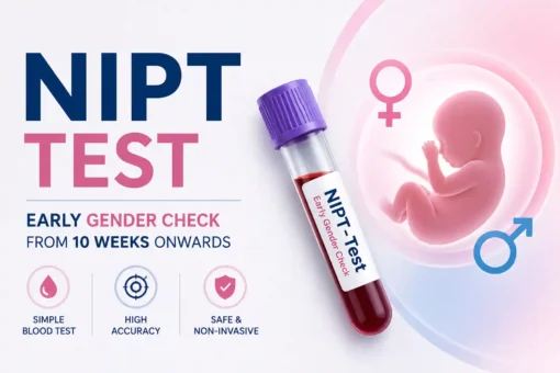 NIPT Test for early gender determination during pregnancy, showing a prenatal blood test, fetus illustration, and gender symbols for accurate non-invasive screening from 10 weeks.